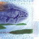 Image for article titled Here are the nine most beautiful banknotes in the world